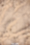 241117X-113121-04131