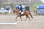 BPP_8908