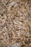 260802A-135354-07054