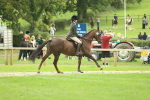SBM_47952