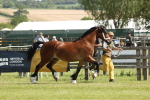 SBM_02329