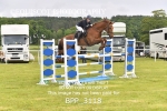 BPP_3118