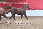 JAC_5880