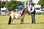 SBM_01773