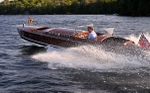 Whippet23-3464