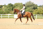 SBM_002808