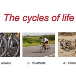 3rd Ray Hornett The cycles of life