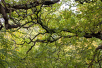 17Oct2013: Photo 290