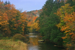 Fall and Winter portfolio