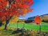 Istock #21708631