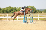SBM_000979