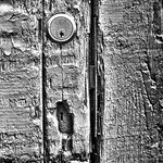 Still Life-009