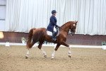 SBM_009431
