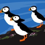 Puffins