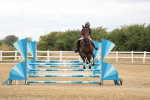SBM_023209