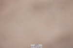 231112A-123015-04029