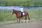 WJ7_3354