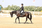 SBM_002684