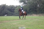 425-Selina.Milnes-SILVERTEAL.JD portfolio
