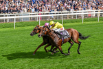190826-Race 4-Item-0490