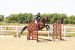 SBM_002443