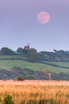 ab378 Flower Moon over Bembridge