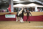 SBM_05646