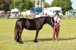 SBM_00913