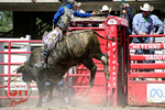 3HRodeo_CFD_JUL_19_2026_03438