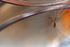 Pluis 2
