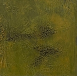 Bog Earth 15, 15cm x 15cm