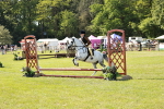 SBM_12717