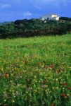 Menorca Villa