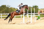 SBM_001653
