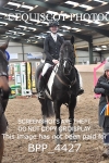 BPP_4427