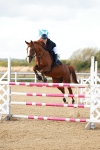 SBM_002009