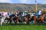 130326-Race 6-Willewonga-3187
