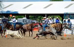 3HRodeo8-11-25_PRCASteer_07406_