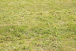 SBM_09737