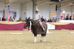 SBM_09626