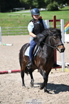 Showjumping Competition portfolio