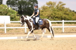 SBM_008837