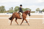 SBM_15974