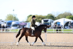 SBM_08739