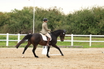 SBM_000218