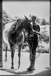 Haleys Horse_039