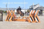 BPP_6176