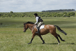 BVHT 140517  IXC -189