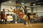 3HRodeo_Frozen_Fury_FEB_2026_02004