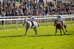 111024-Race 2-Mirabeau-6859
